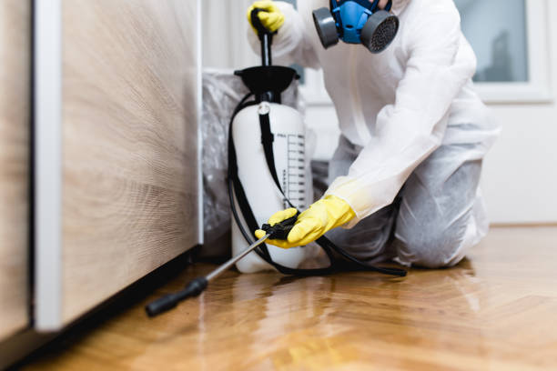 Best Residential Pest Control  in Nashville, AR