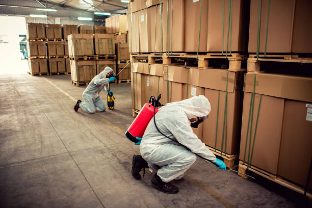 Best Ant Control Services  in Nashville, AR