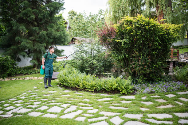 Best Affordable Pest Control Services  in Nashville, AR