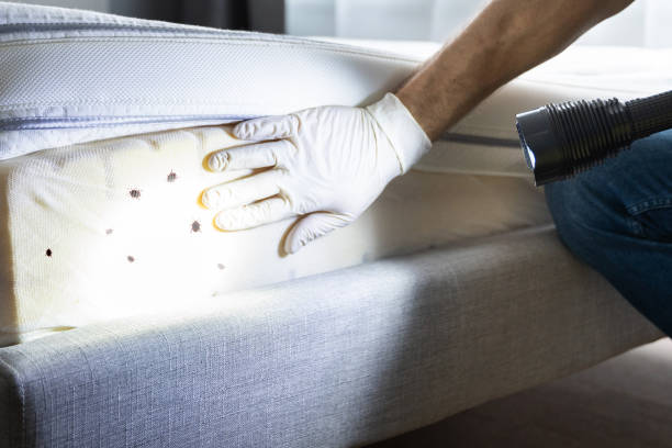 Best Best Pest Control Companies  in Nashville, AR
