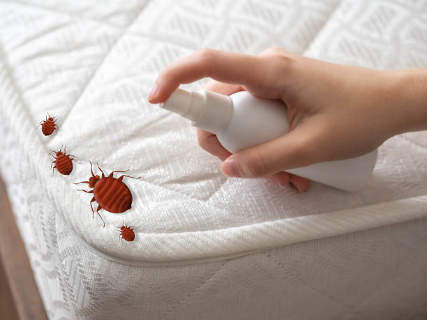 Best Pest Removal Services  in Nashville, AR