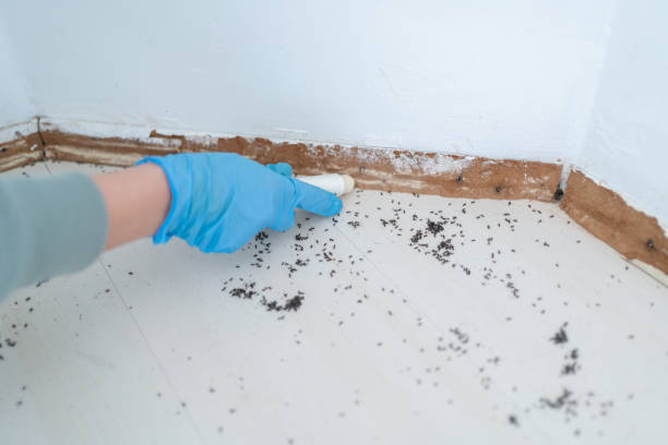 Pest Control Cost in Nashville, AR