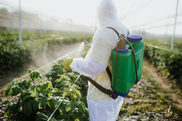 Best Pest Inspection Near Me  in Nashville, AR